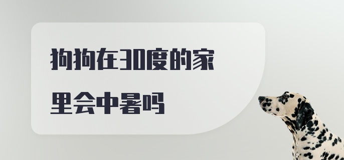 狗狗在30度的家里会中暑吗