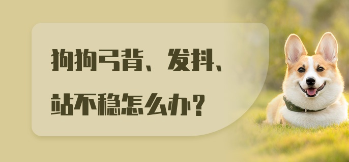 狗狗弓背、发抖、站不稳怎么办？