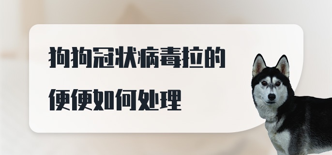 狗狗冠状病毒拉的便便如何处理