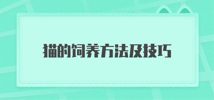 猫的饲养方法及技巧