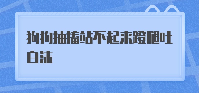 狗狗抽搐站不起来蹬腿吐白沫