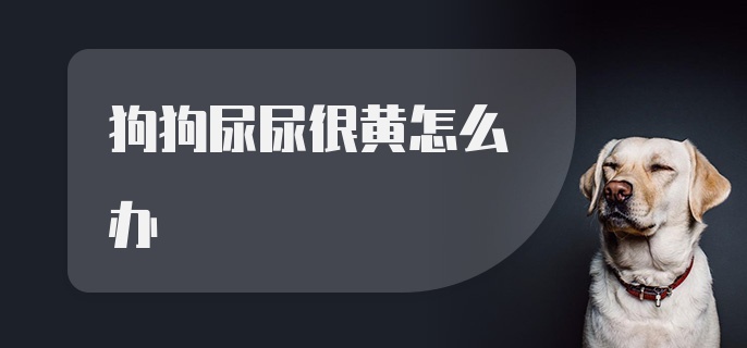 狗狗尿尿很黄怎么办