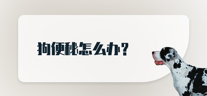 狗便秘怎么办?