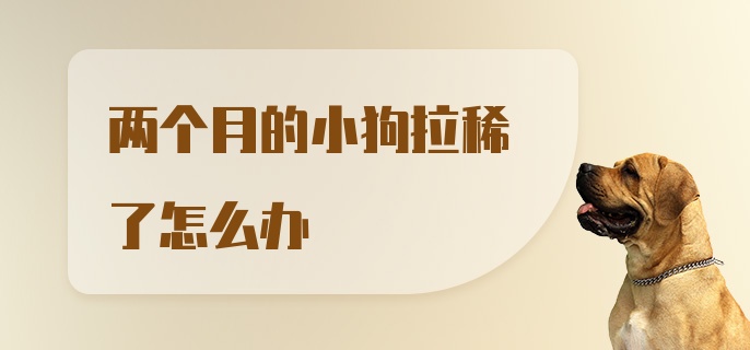 两个月的小狗拉稀了怎么办