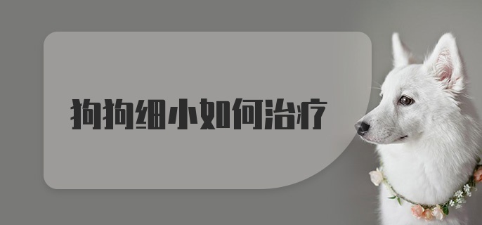 狗狗细小如何治疗