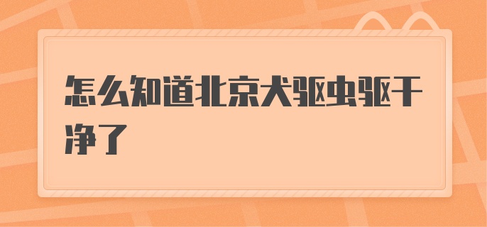 怎么知道北京犬驱虫驱干净了