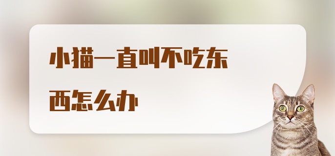 小猫一直叫不吃东西怎么办