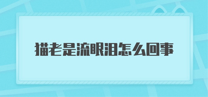 猫老是流眼泪怎么回事