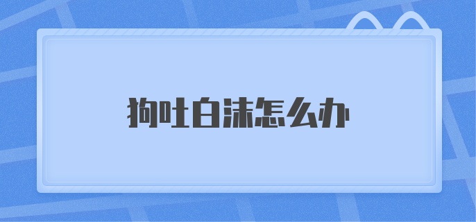 狗吐白沫怎么办