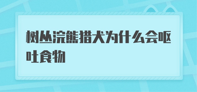 树丛浣熊猎犬为什么会呕吐食物