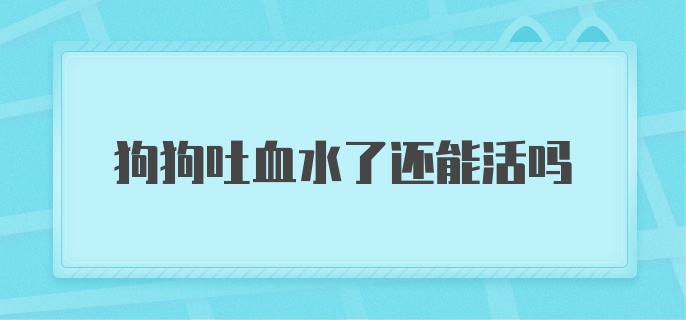 狗狗吐血水了还能活吗