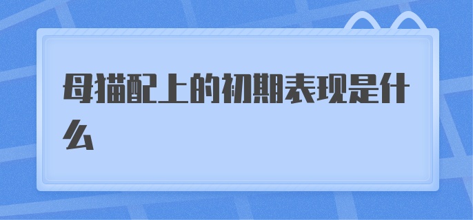 母猫配上的初期表现是什么？