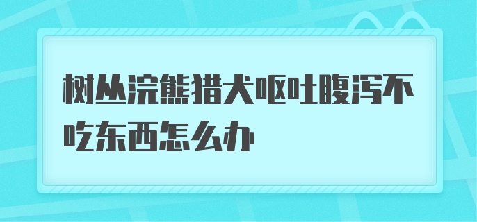 树丛浣熊猎犬呕吐腹泻不吃东西怎么办