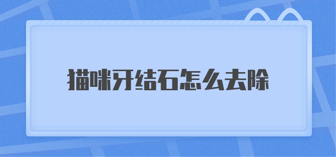 猫咪牙结石怎么去除