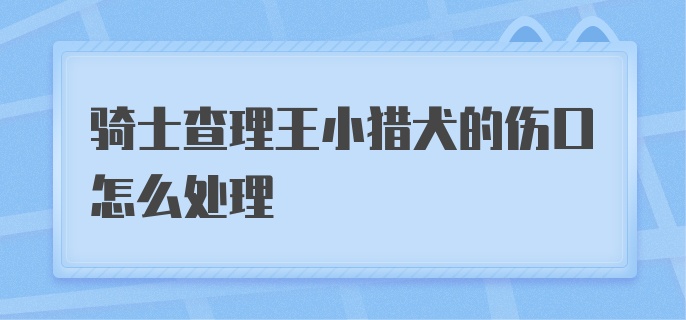 骑士查理王小猎犬的伤口怎么处理