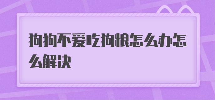 狗狗不爱吃狗粮怎么办怎么解决