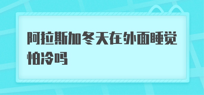 阿拉斯加冬天在外面睡觉怕冷吗