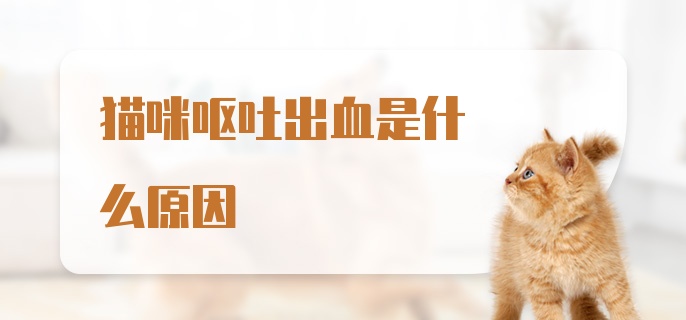 猫咪呕吐出血是什么原因