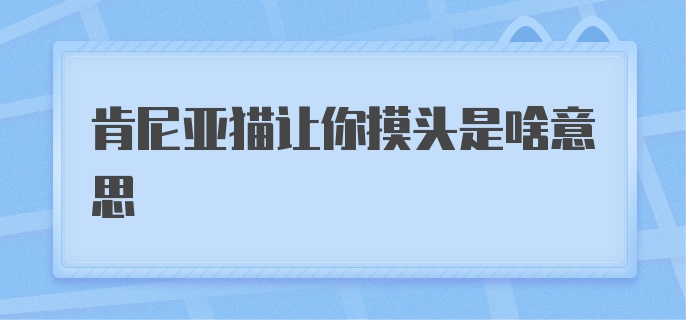 肯尼亚猫让你摸头是啥意思