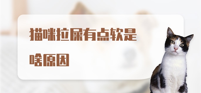 猫咪拉屎有点软是啥原因