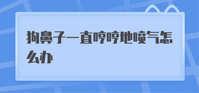 狗鼻子一直哼哼地喷气怎么办