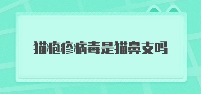 猫疱疹病毒是猫鼻支吗