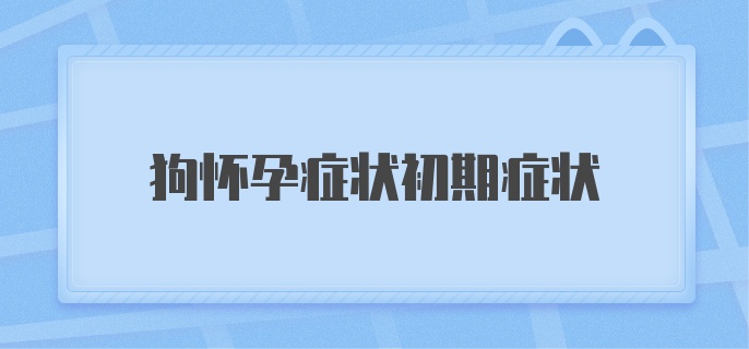 狗怀孕症状初期症状