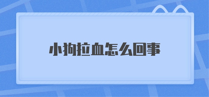 小狗拉血怎么回事