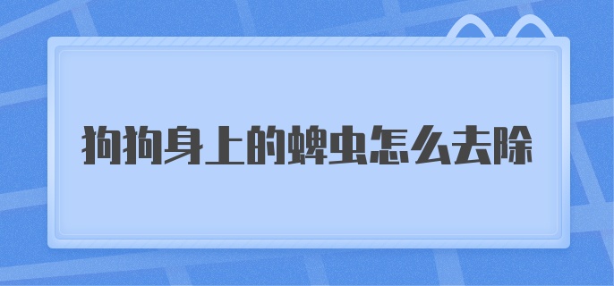 狗狗身上的蜱虫怎么去除