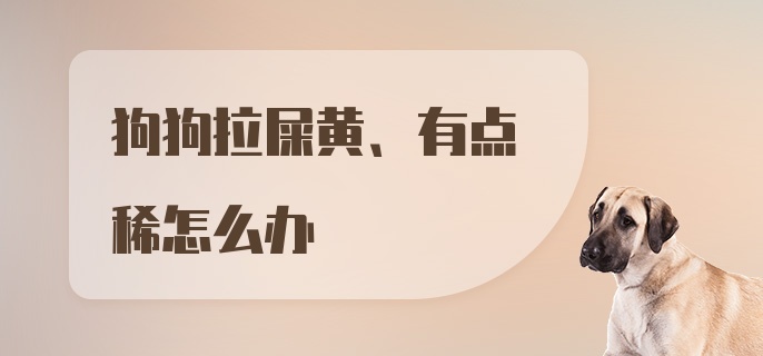 狗狗拉屎黄、有点稀怎么办