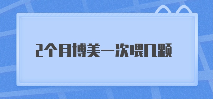 2个月博美一次喂几颗