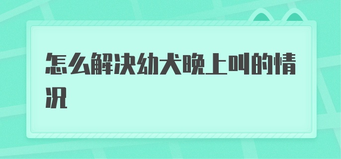 怎么解决幼犬晚上叫的情况