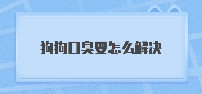 狗狗口臭要怎么解决