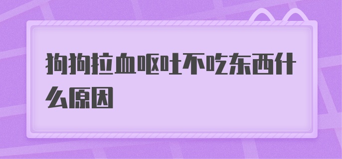 狗狗拉血呕吐不吃东西什么原因