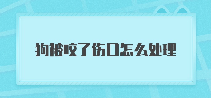 狗被咬了伤口怎么处理