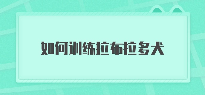 如何训练拉布拉多犬