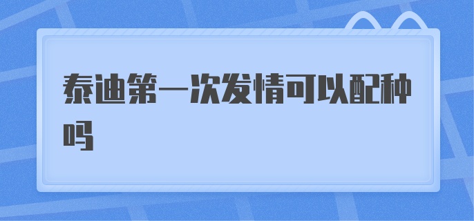 泰迪第一次发情可以配种吗