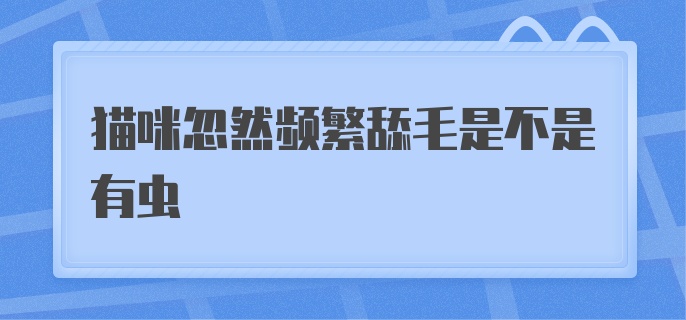 猫咪忽然频繁舔毛是不是有虫