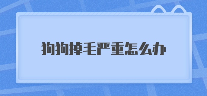 狗狗掉毛严重怎么办