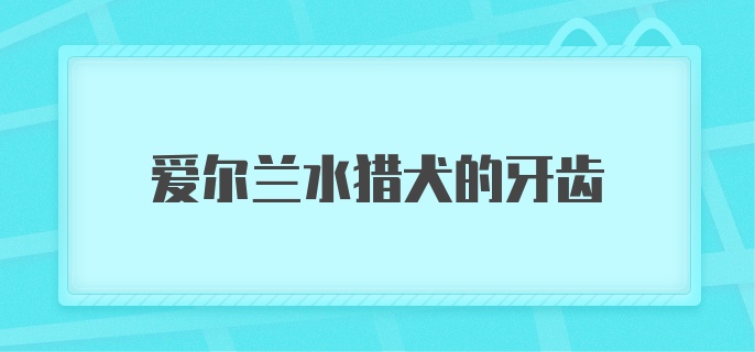 爱尔兰水猎犬的牙齿