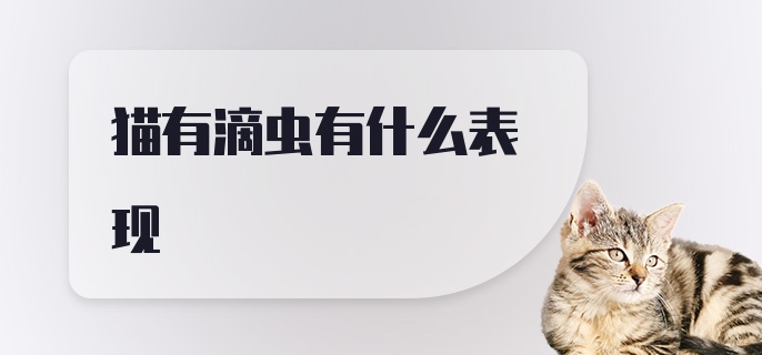 猫有滴虫有什么表现