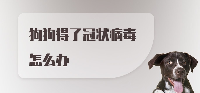 狗狗得了冠状病毒怎么办