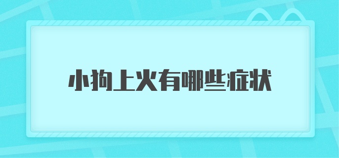 小狗上火有哪些症状