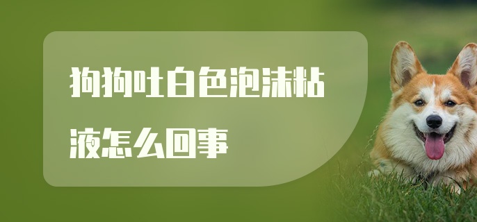 狗狗吐白色泡沫粘液怎么回事