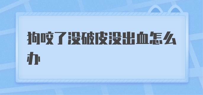 狗咬了没破皮没出血怎么办