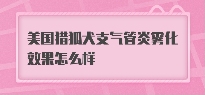 美国猎狐犬支气管炎雾化效果怎么样