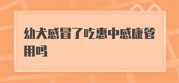 小狗感冒了可以吃惠中感康吗