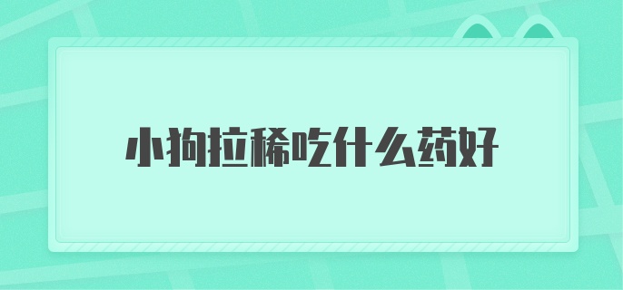 小狗拉稀吃什么药好