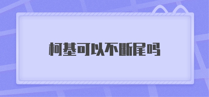 柯基可以不断尾吗