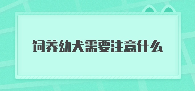 饲养幼犬需要注意什么